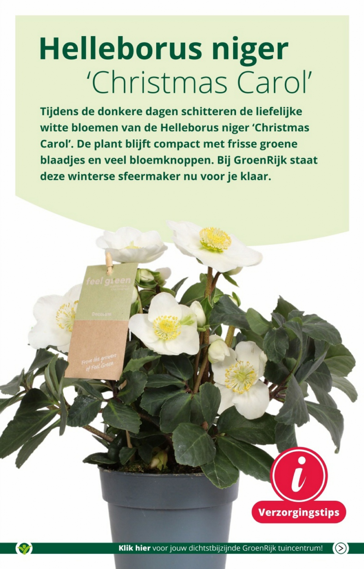 GroenRijk Folder
